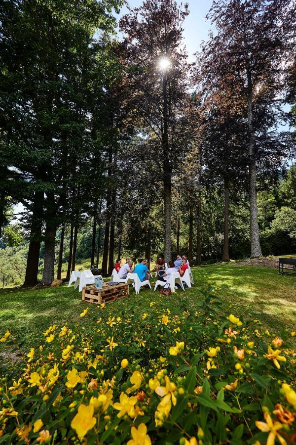 Villa Mathis Le Hohwald Zewnętrze zdjęcie
